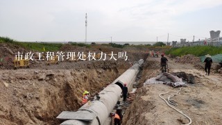 事業單位市政管理處與工程設計院就業分析 應屆畢業生的職業選擇指南